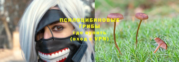 молекула духа Арсеньев