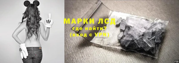 молекула духа Арсеньев