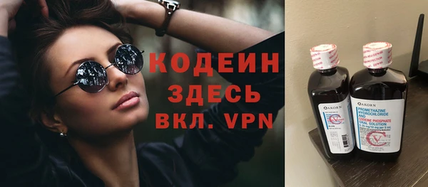 молекула духа Арсеньев