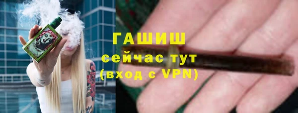 молекула духа Арсеньев