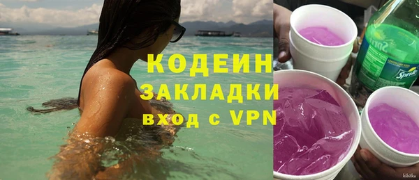 молекула духа Арсеньев