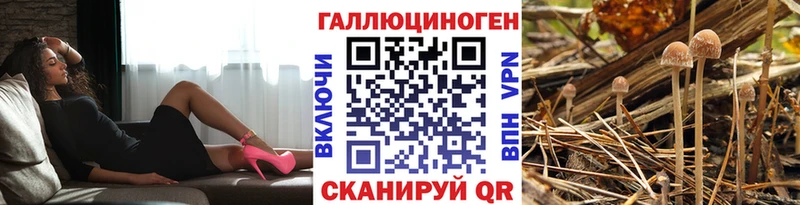 купить   Калязин  Галлюциногенные грибы Magic Shrooms 